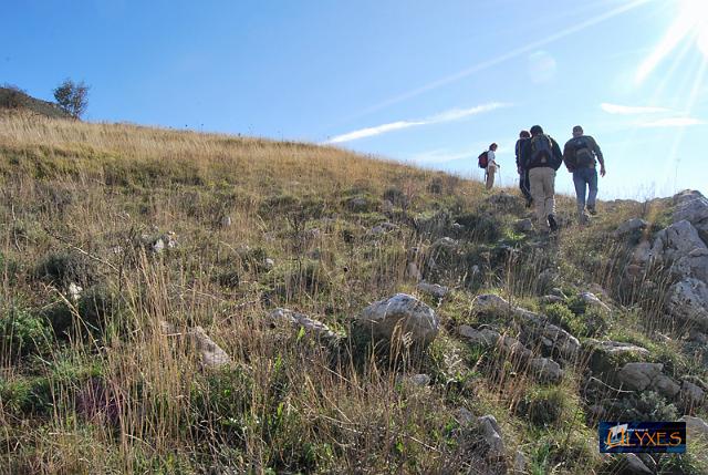 su per monte comune.JPG